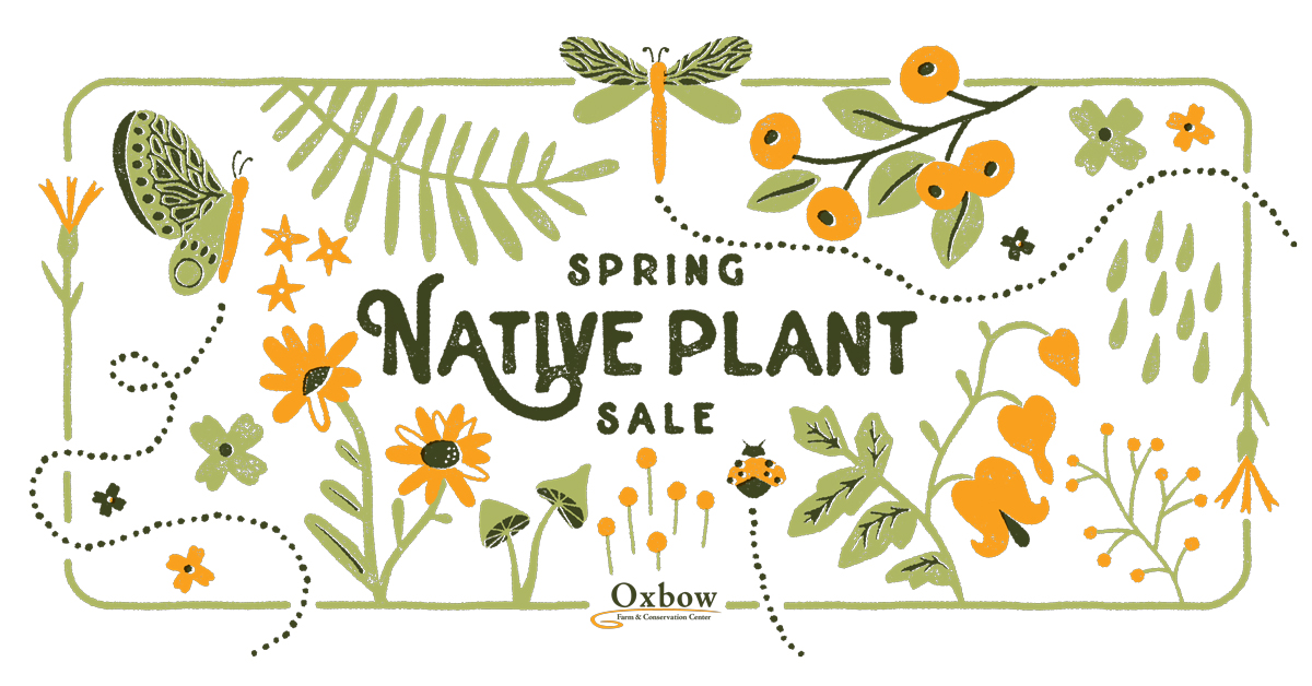 Shop PNW native plants at Oxbow’s Spring Native Plant Sale, featuring colorful flowers, shrubs, and trees.