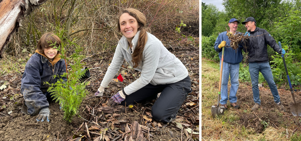 Volunteers of all ages planting trees and removing invasive plants at Oxbow’s restoration work party.