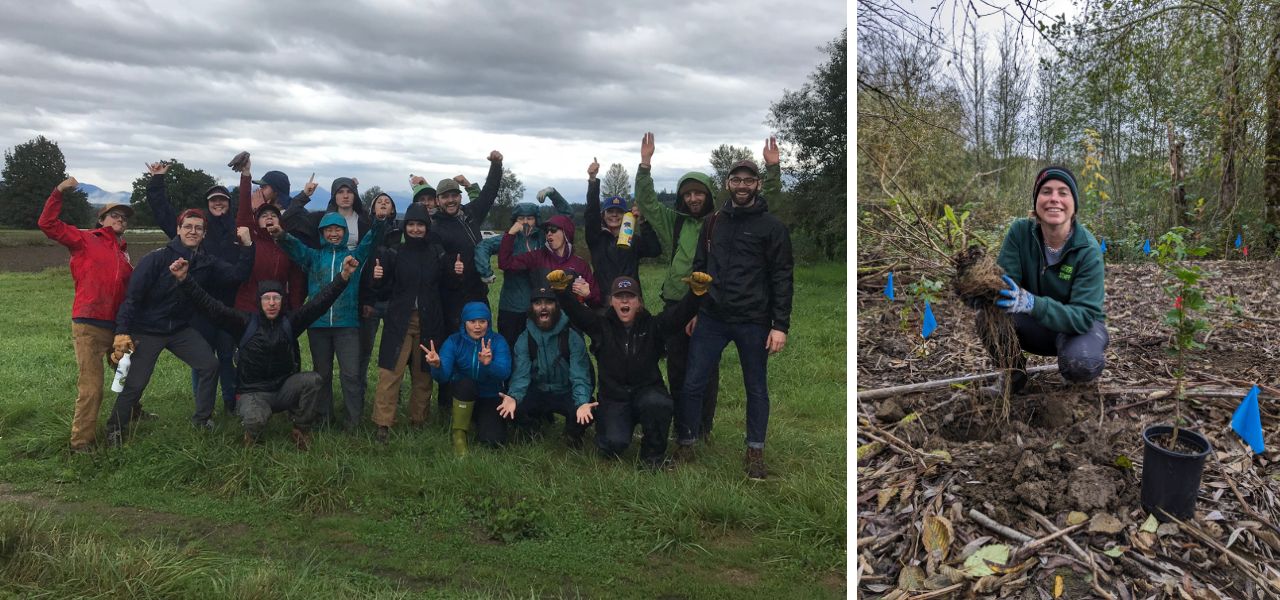 A large group of volunteers in rain gear celebrate their restoration efforts, with another volunteer planting a tree in a muddy field.