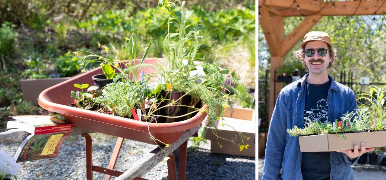 A wheelbarrow filled with native plants and a smiling customer holding a box of plants at Oxbow’s Spring Native Plant Sale.